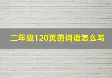 二年级120页的词语怎么写