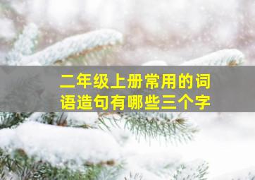 二年级上册常用的词语造句有哪些三个字