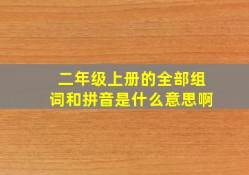 二年级上册的全部组词和拼音是什么意思啊