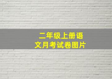 二年级上册语文月考试卷图片