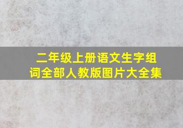 二年级上册语文生字组词全部人教版图片大全集