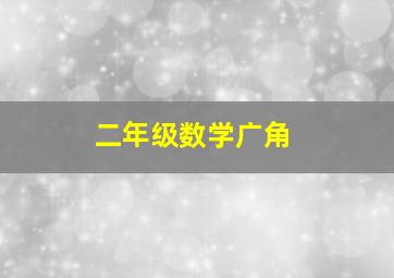 二年级数学广角