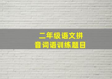 二年级语文拼音词语训练题目