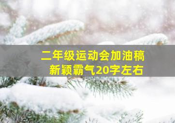 二年级运动会加油稿新颖霸气20字左右