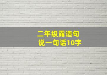 二年级露造句说一句话10字