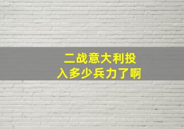 二战意大利投入多少兵力了啊