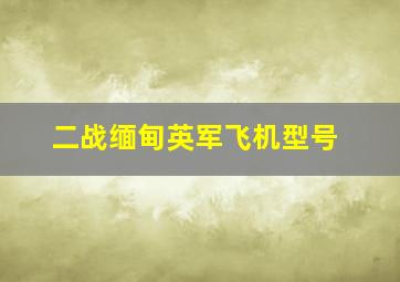 二战缅甸英军飞机型号