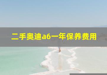 二手奥迪a6一年保养费用