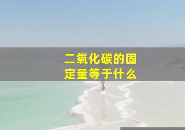 二氧化碳的固定量等于什么