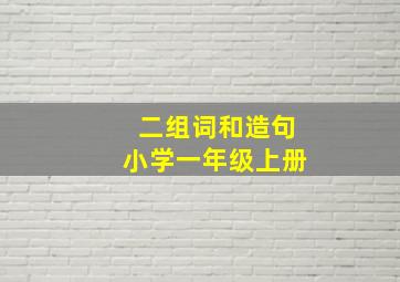 二组词和造句小学一年级上册