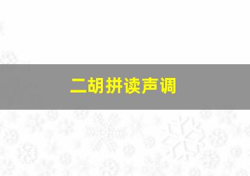 二胡拼读声调