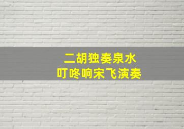 二胡独奏泉水叮咚响宋飞演奏