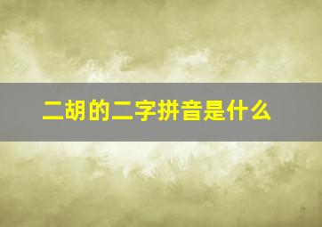 二胡的二字拼音是什么