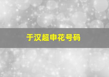 于汉超申花号码