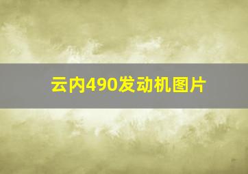 云内490发动机图片