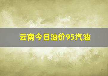 云南今日油价95汽油