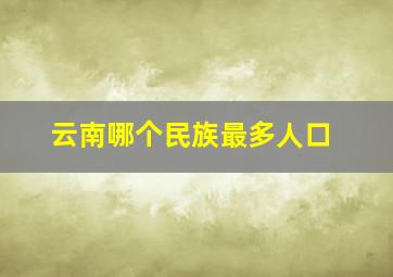 云南哪个民族最多人口