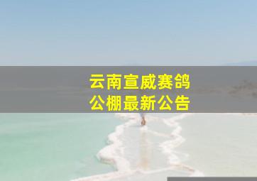 云南宣威赛鸽公棚最新公告