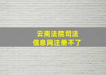 云南法院司法信息网注册不了