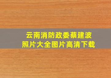 云南消防政委蔡建波照片大全图片高清下载