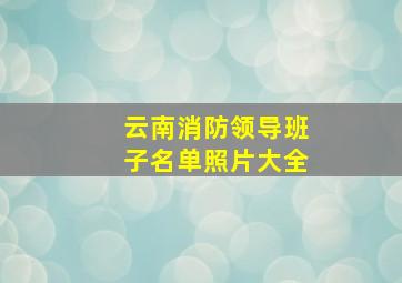 云南消防领导班子名单照片大全