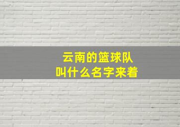 云南的篮球队叫什么名字来着