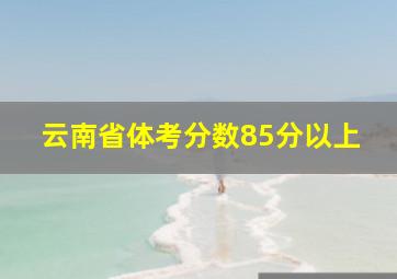 云南省体考分数85分以上