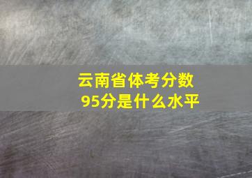 云南省体考分数95分是什么水平