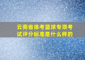 云南省体考篮球专项考试评分标准是什么样的