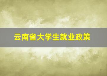 云南省大学生就业政策