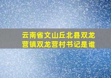 云南省文山丘北县双龙营镇双龙营村书记是谁