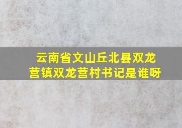 云南省文山丘北县双龙营镇双龙营村书记是谁呀