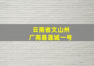 云南省文山州广南县莲城一号