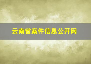 云南省案件信息公开网