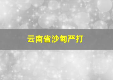 云南省沙甸严打