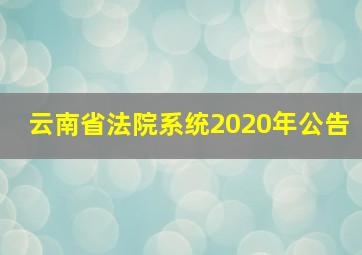 云南省法院系统2020年公告