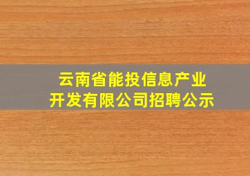 云南省能投信息产业开发有限公司招聘公示