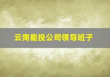 云南能投公司领导班子