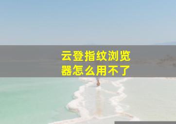 云登指纹浏览器怎么用不了