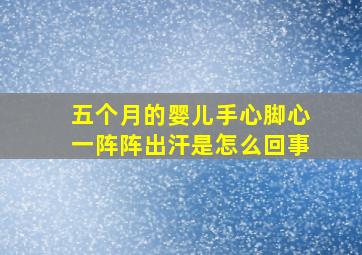 五个月的婴儿手心脚心一阵阵出汗是怎么回事