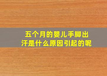 五个月的婴儿手脚出汗是什么原因引起的呢