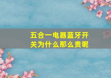 五合一电器蓝牙开关为什么那么贵呢