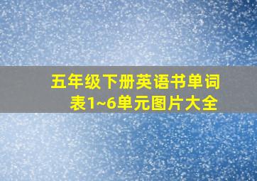 五年级下册英语书单词表1~6单元图片大全