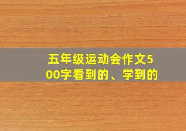 五年级运动会作文500字看到的、学到的