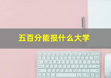 五百分能报什么大学