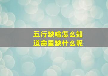 五行缺啥怎么知道命里缺什么呢