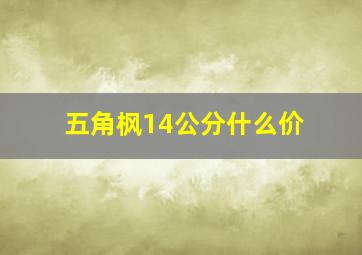 五角枫14公分什么价