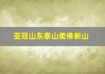 亚冠山东泰山柔佛新山