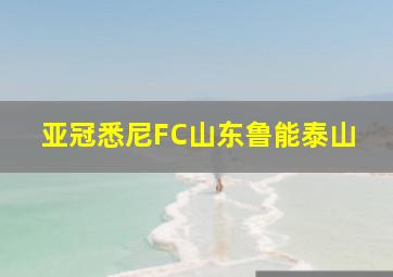 亚冠悉尼FC山东鲁能泰山