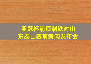 亚冠杯浦项制铁对山东泰山赛前新闻发布会